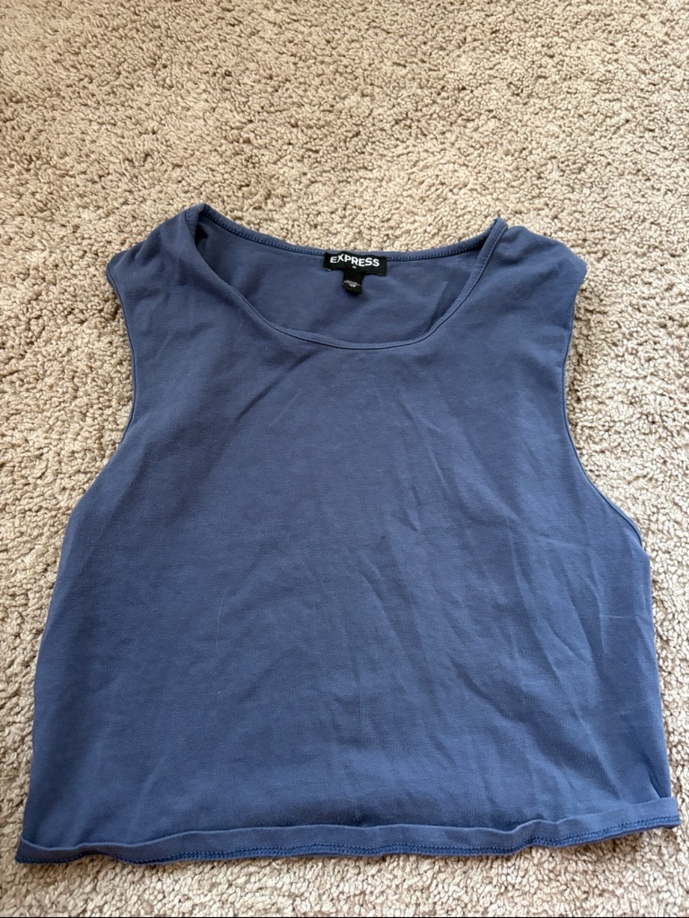 Express Women's Blue Sleeveless Crop Tank